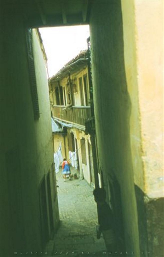 1002 RUE DE LODI PATIO CALABASSA.JPG